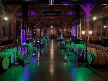 A dimly lit rustic wine cellar with barrels and purple-green lighting.