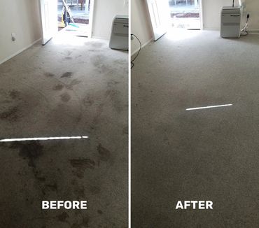 carpet cleaning north county san diego