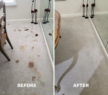 chula vista upholstery cleaning