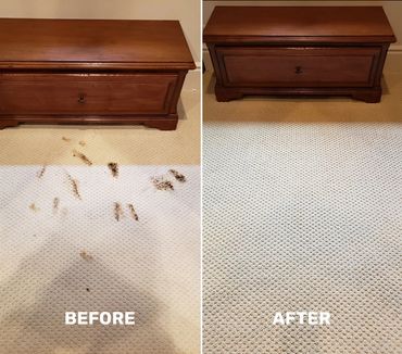 bonita tile & grout cleaning