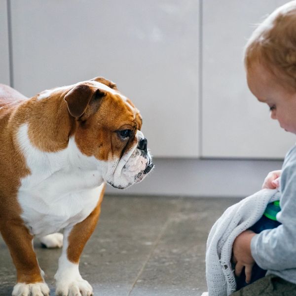 professional grout cleaning