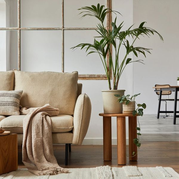 san diego's best upholstery cleaning