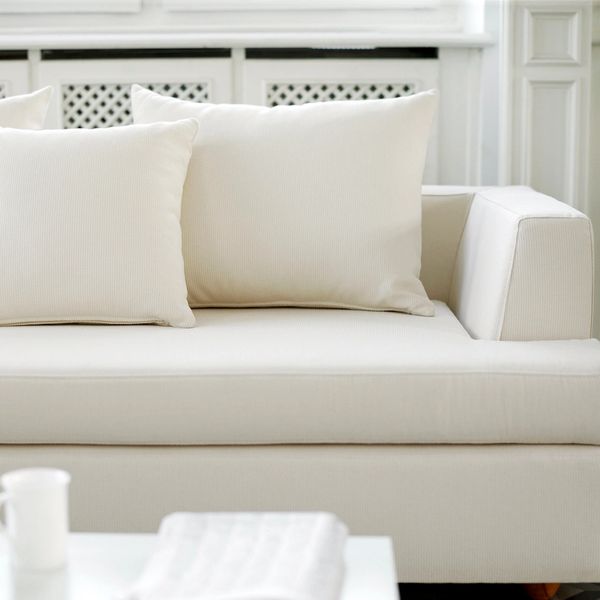 sofa cleaning san diego
