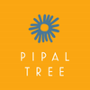 Pipal Tree 2023