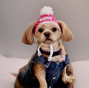Small dog wearing a pink knit hat and denim jacket.