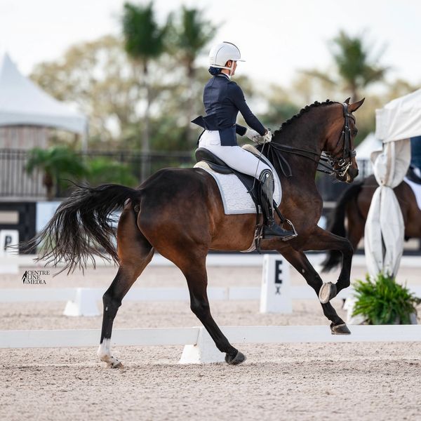 Equestrian rider performing dressage movement on a brown horse.