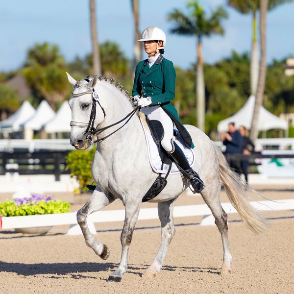 Equestrian rider in green jacket on white horse during competition.
