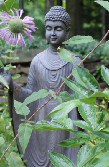 Buddha statue surrounded by green plants and a purple flower.