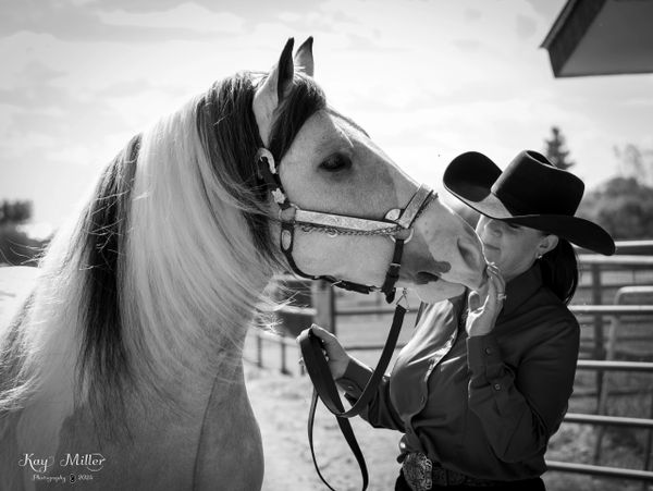 A woman in a cowboy hat gently interacts with a white horse.