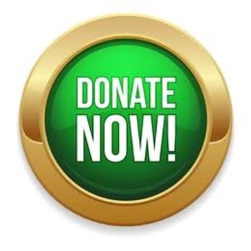 Green and gold donate now button.
