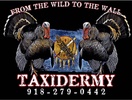 From the Wild to the Wall Taxidermy