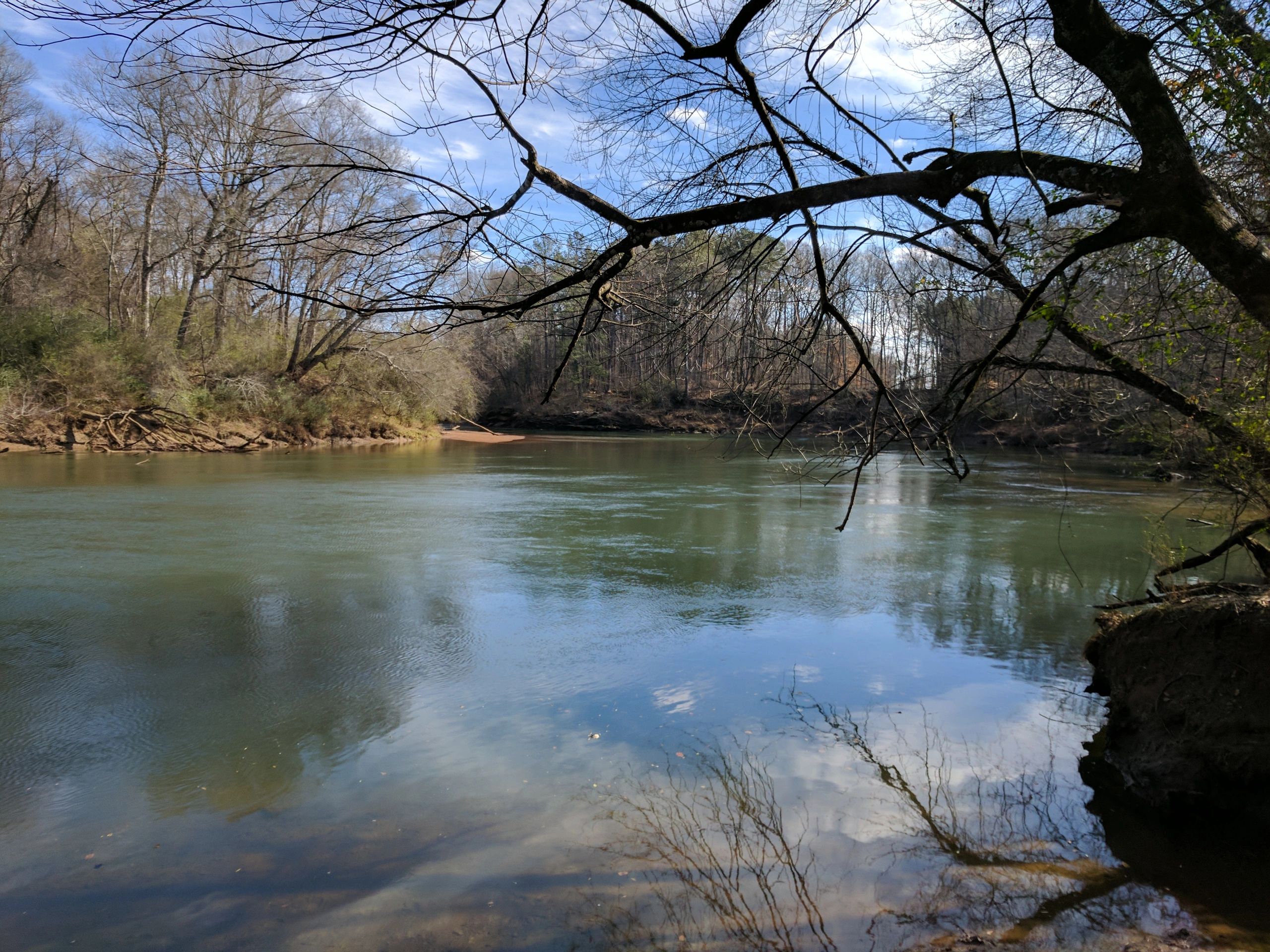 Forsyth County Parks Foundation