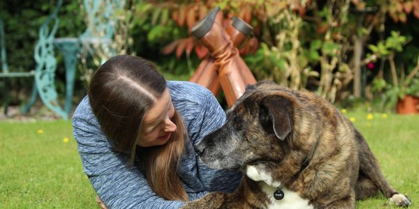 Dog laying with owner on grass