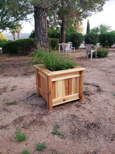 Custom Planter With Flowers