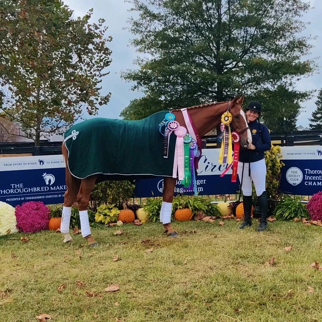 Thoroughbred RED KING continues his work as SCRAF AMBASSADOR after racing now therapy & spokes horse