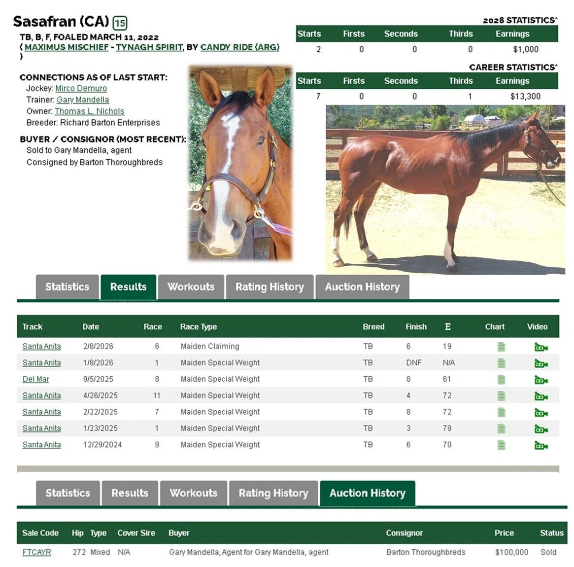 SCRAF Team - "Sasafran" Retired Race horse headed to KY for the Thoroughbred Makeover Project