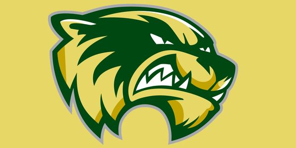 Fierce stylized wildcat logo in green and yellow.