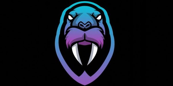 Stylized walrus head logo with blue and purple gradient on black background.