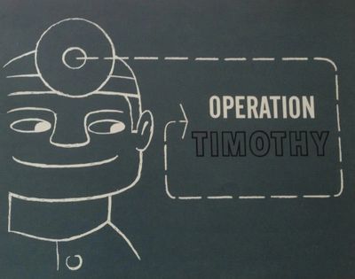 The cover of Operation Timothy.