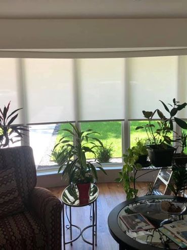 Shades in bay window