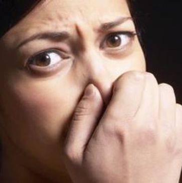 A person smells foul odor. Carpets, laundry and bedding can be the reason for foul smell.