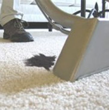 Professional carpet cleaning removes all stubborn stains and smell.