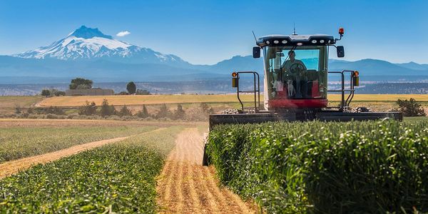 Farmer harvesting crops in shadow of Mt Jefferson, eastern Oregon