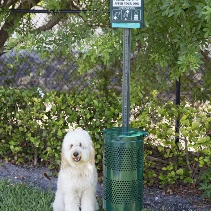 A fluffy white dog sitting next to a green poop bag dispenser and trash bin in a park.