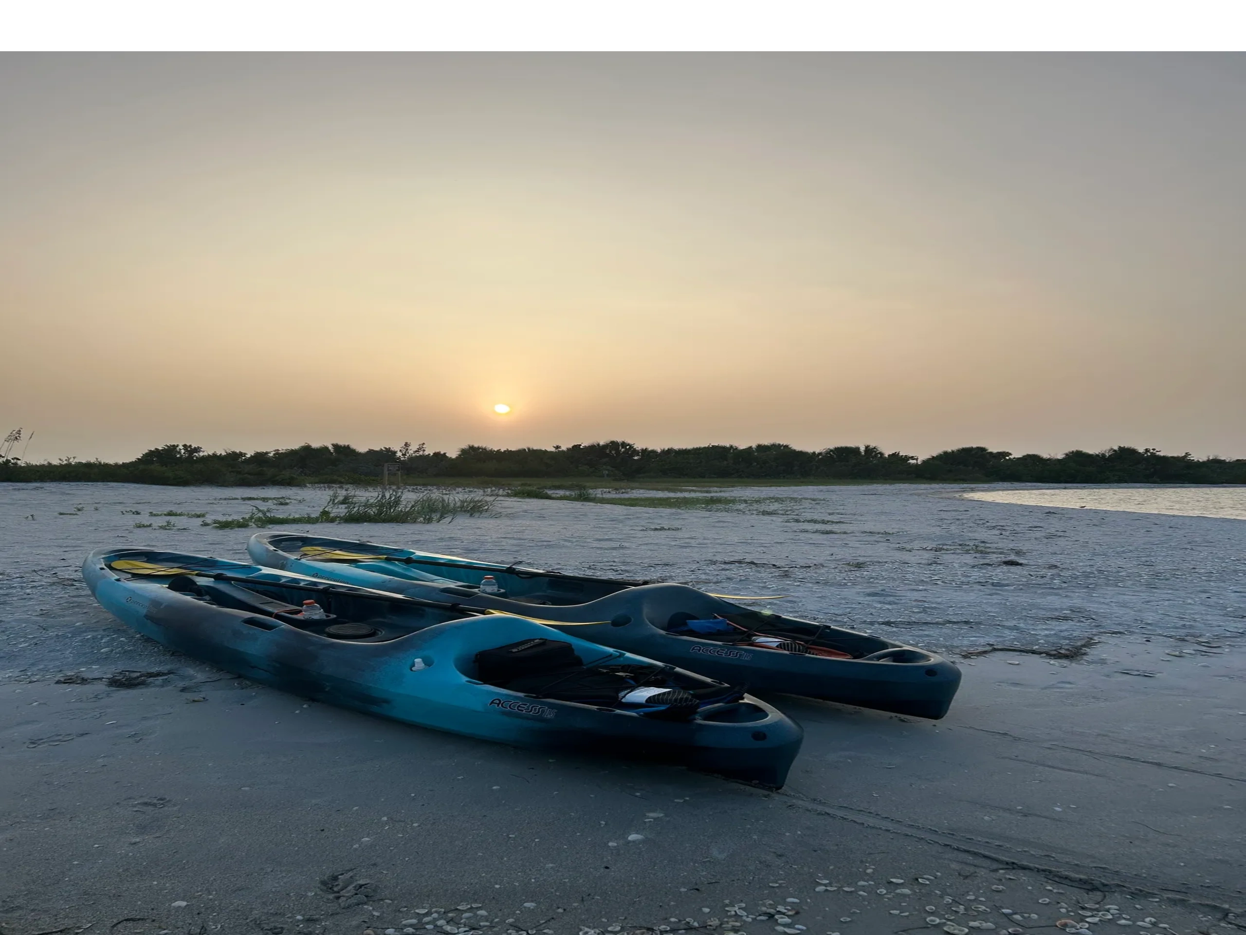 Kayak Rentals Near You