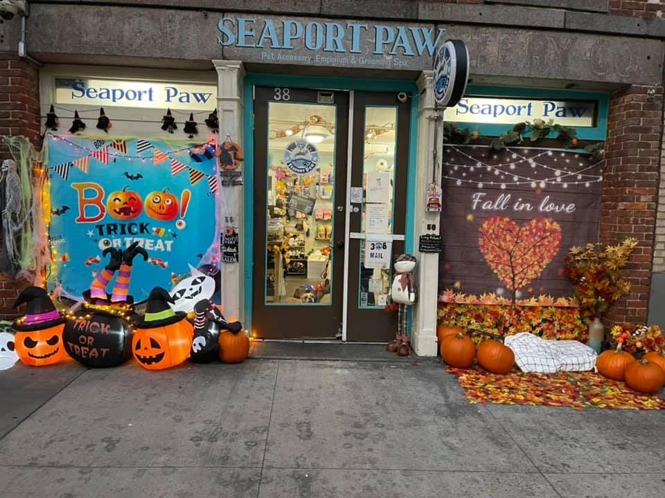 The Seaport Paw