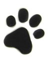 Happy Paws Dog Walking and Related Services