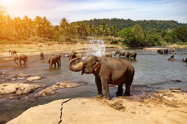 Saphira Luxury Travel, Sri Lanka