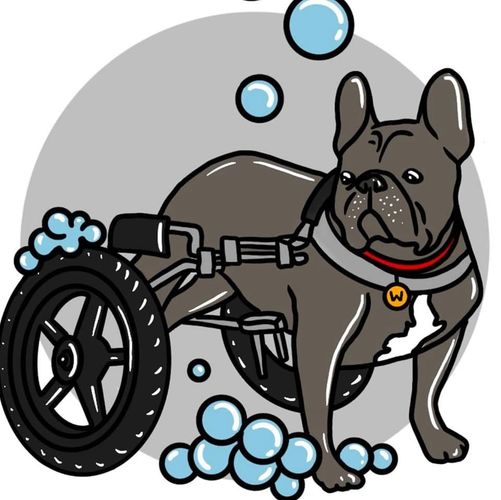 Illustration of a dog with a wheelchair and bubbles around it.