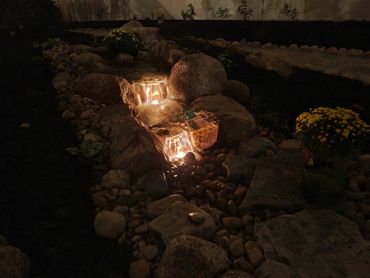 Versatility: They can be integrated into various landscape designs and are adaptable to different st