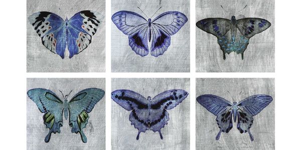Butterflies in squares