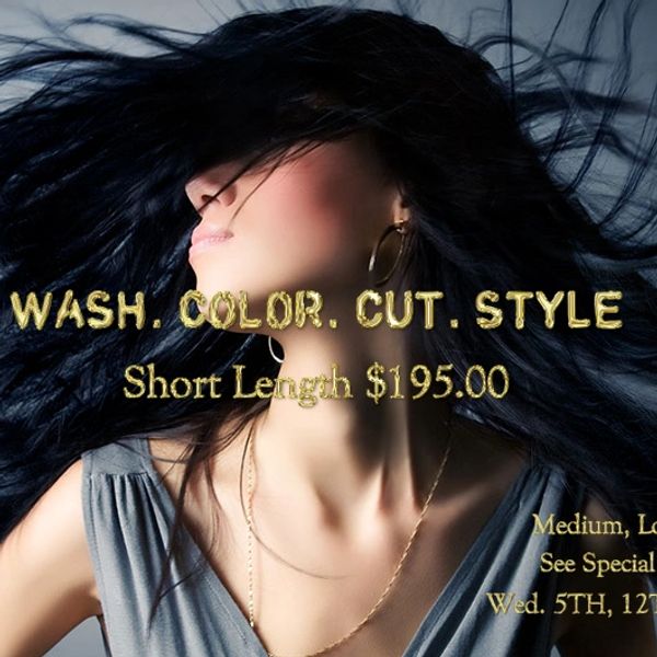 _2 Best Hair Salon In SCV,  Hair Colorist, Hair cut, HAIR Stylists, Haircuts, Valencia, SCV Salon.