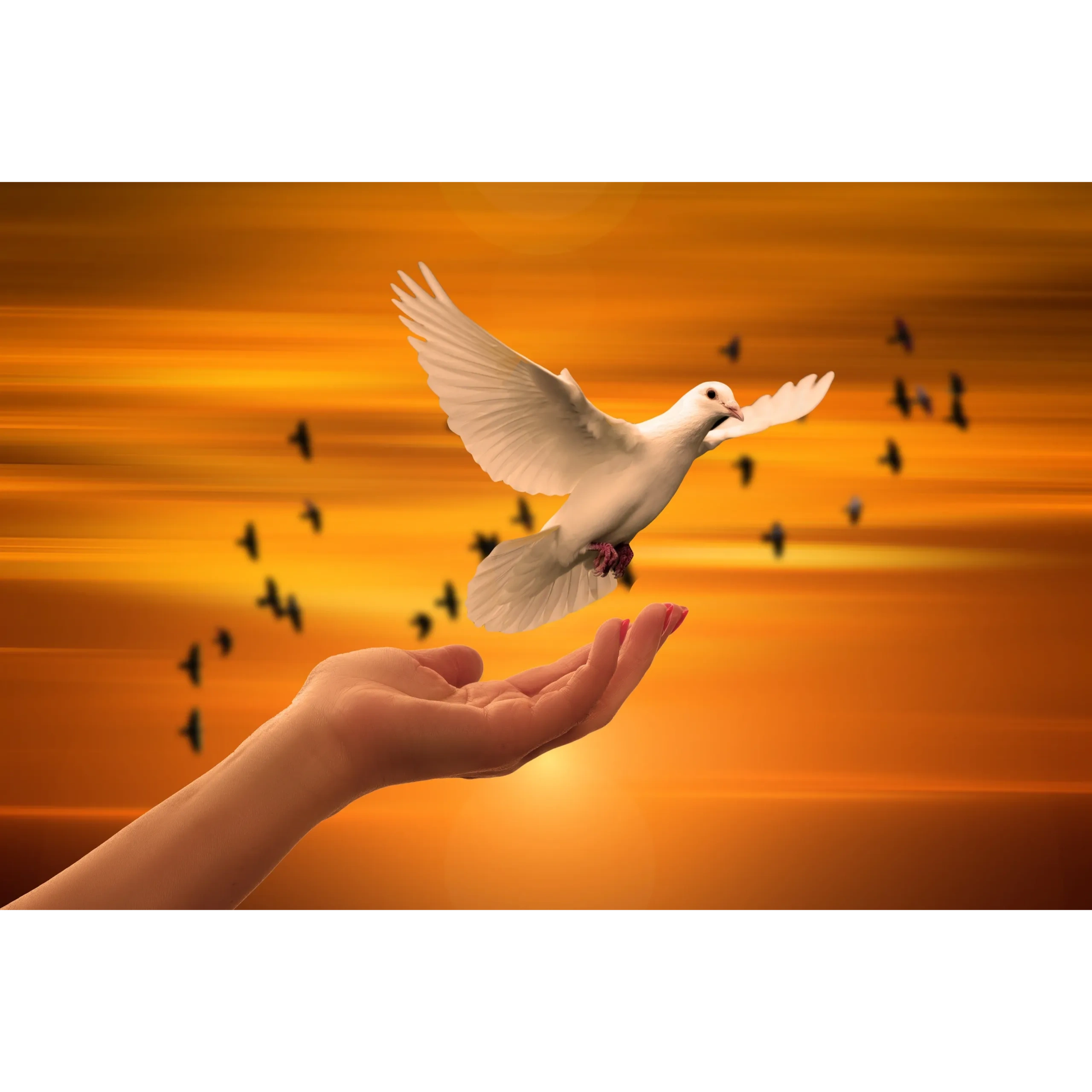 The Dove of Hope
