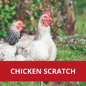 Chicken scratch poultry is available in GMO-free as well as organic chicken scratch options.