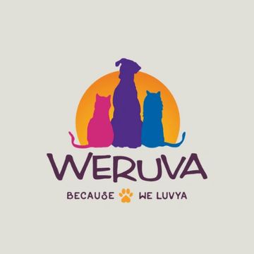 Weruva Canned Dog Food uses the highest quality ingredients that finicky dogs love.
