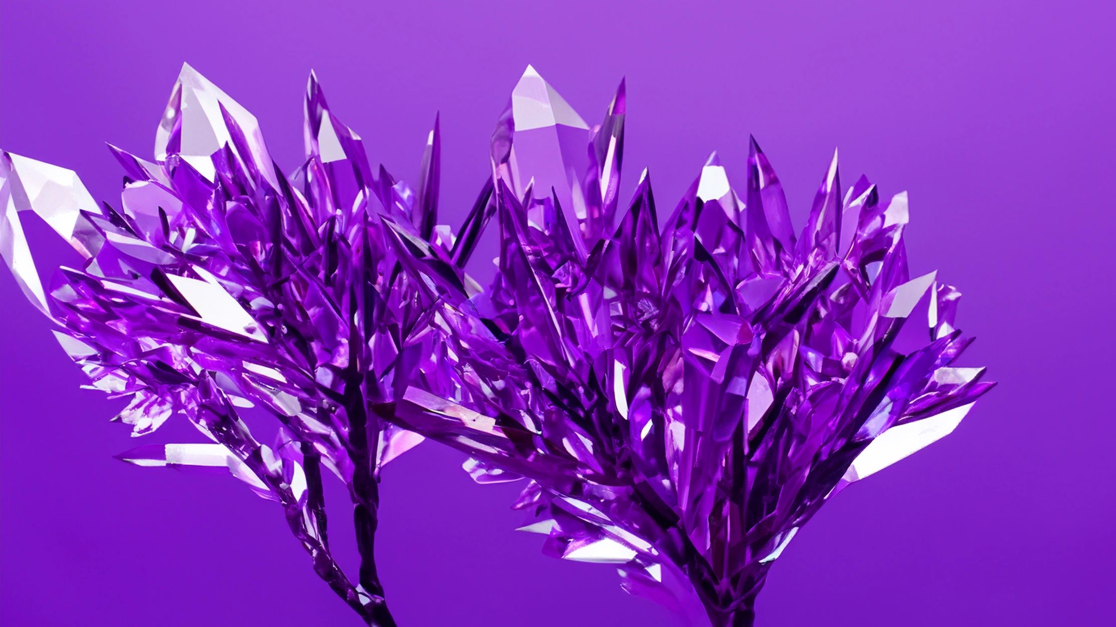 Purple crystalline plants perfect for hypnotic induction during hypnosis services and hypnotherapy.
