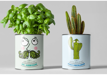 cactus grow kit & basil grow kit