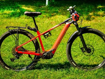 Red Cannondale mountain bike on grass.