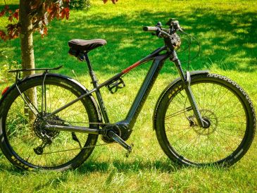 Black mountain bike parked on grass under a tree.