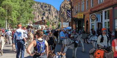 start of the pack burro race in creede, 2022