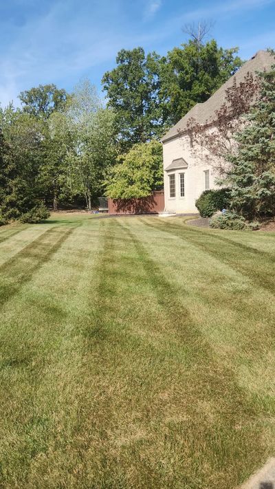 Professional weekly lawn mowing and precision sidewalk edging in Elyria, OH
