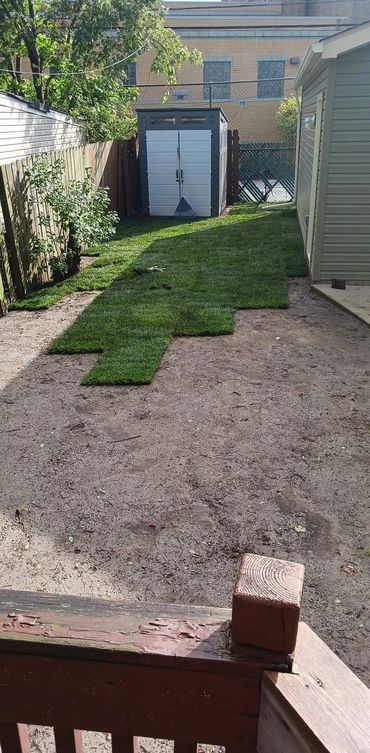 Installing premium locally grown sod with staggered seams for a new lawn in Avon, Ohio