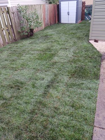 Completed premium sod installation and final rolling for a lush, green lawn in Avon, OH.