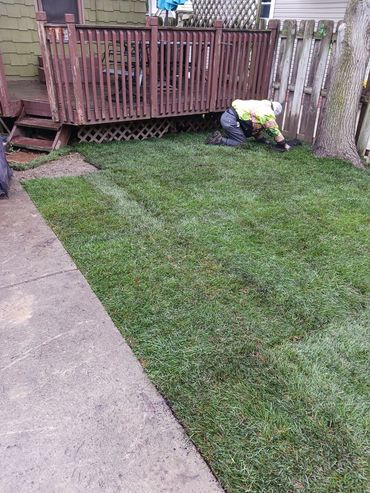Expert team finishing premium sod installation with tight, staggered seams in Avon, Ohio