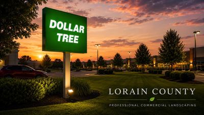 Dollar Tree store sign at sunset.
