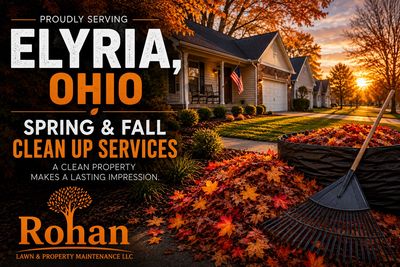 Lawn cleanup service advertisement for Elyria, Ohio by Rohan Lawn & Property Maintenance.